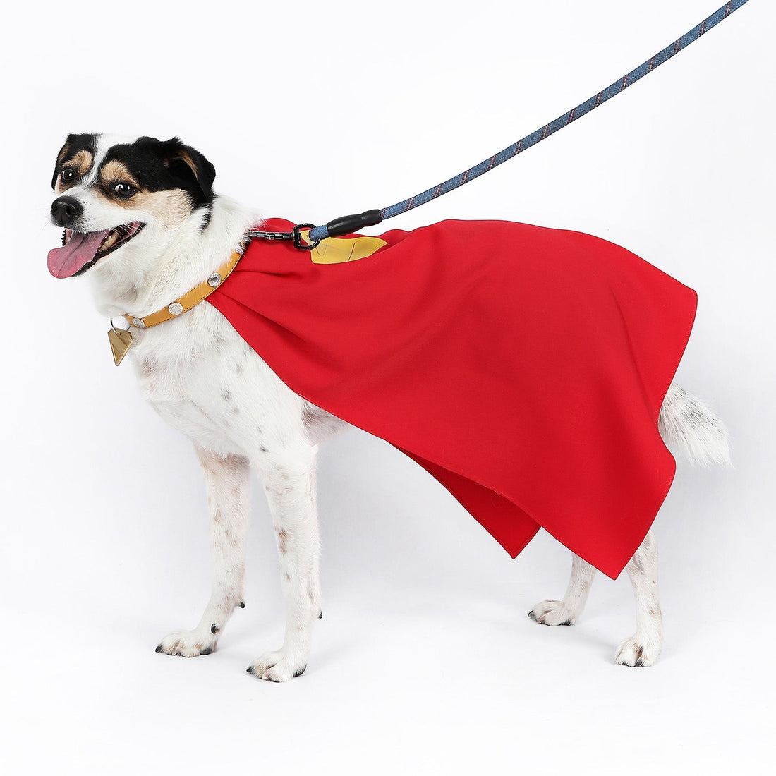 [ylevol] League of Super-Pets Superman Legacy Krypto Dog Collar Cloak