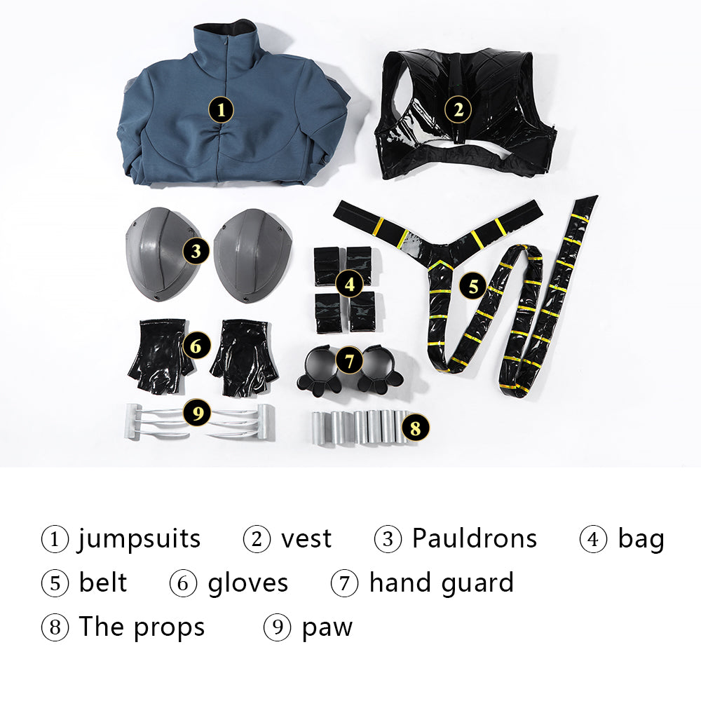 [ylevol] Absolute Universe Absolute Catwoman Selina Kyle Cosplay Costumes